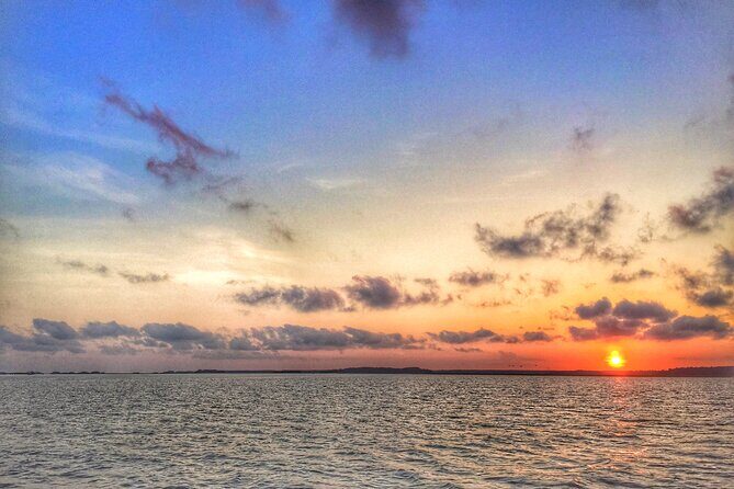 Pontoon Boat Rental in Hilton Head Island - Diving Deep into the Hilton Head Pontoon Experience