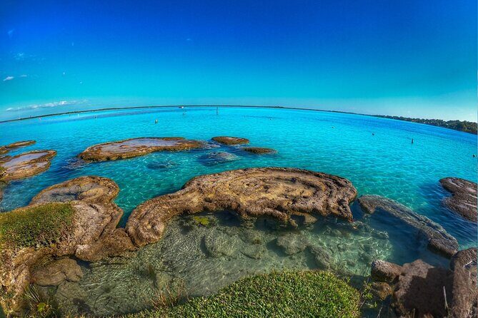 Pontoon Tour of the Seven Colors Lagoon in Bacalar - Frequently Asked Questions