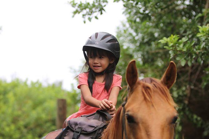 Pony Rides For Kids - The Sum Up