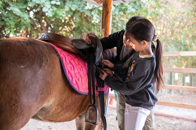 Pony Riding in Luang Prabang - Discovering Luang Prabang on Horseback: An Authentic Lao Experience