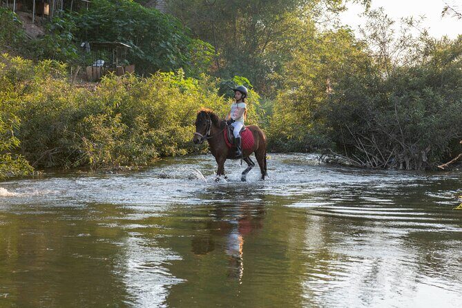 Pony Riding in Luang Prabang - Key Points