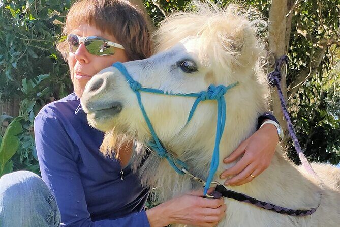 Pony Walking Adventure - Discover the Charm of the Pony Walking Adventure in Sydney