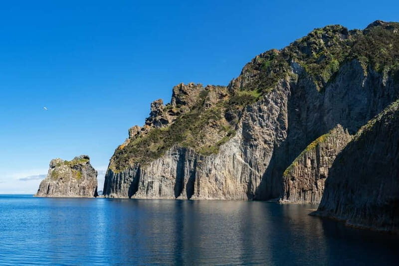 Ponza: Palmarola & Ponza Island Cruise with Swimming & Lunch - The Final Verdict
