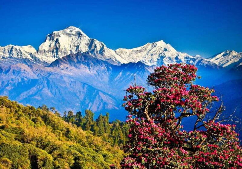 Poon-Hill Nepal - Key Points