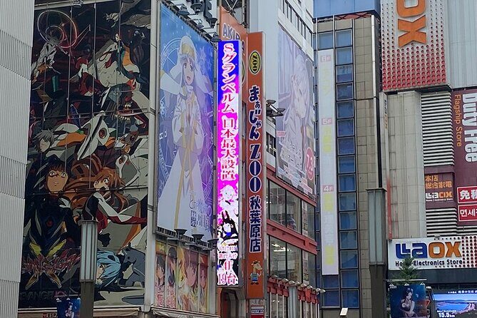 Pop Culture in Tokyo: A Self-Guided Walking Tour - A Deep Dive into the Tour Experience