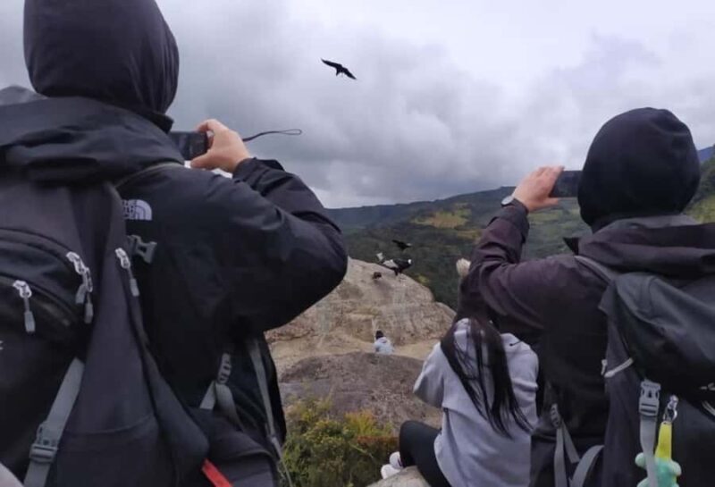 Popayan: Condor Watching in Purace + San Juan Hot Springs - Key Points