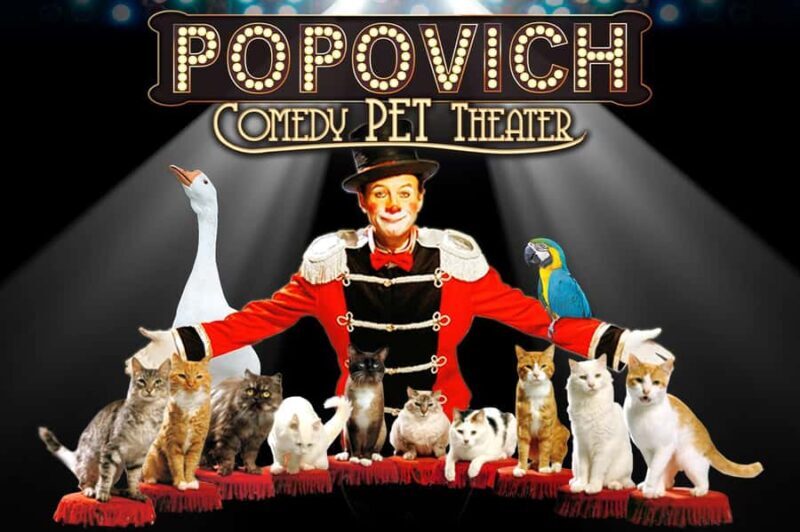 Popovich Comedy Pet Theater in Las Vegas - Key Points