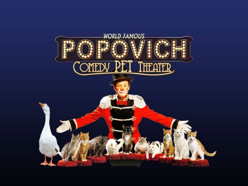 Popovich Comedy Pet Theater in Las Vegas - Who Will Love This Show?