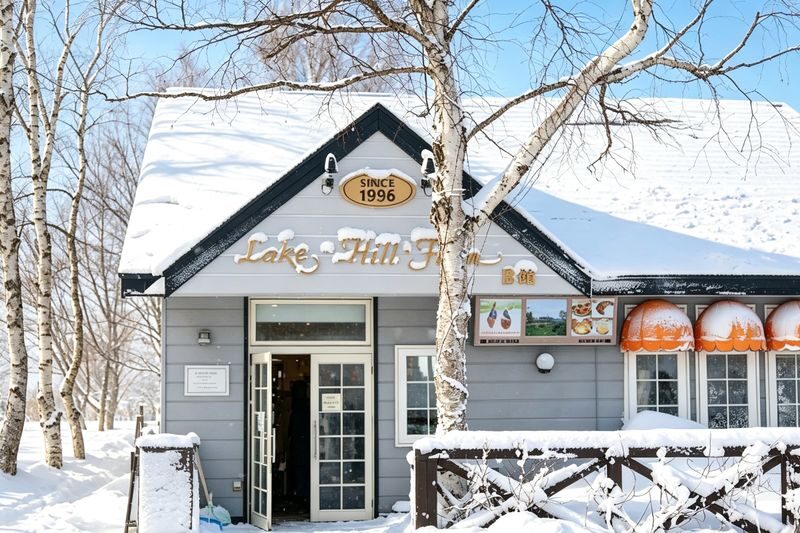 Popular Noboribetsu Must-Visit Day Tour in Hokkaido: Lake Toya & Showa-shinzan & Hell Valley & Lake Shikotsu Illumination (Optional Snowmobile Experience, Multiple Routes Available) - Lake Toya from the observation point