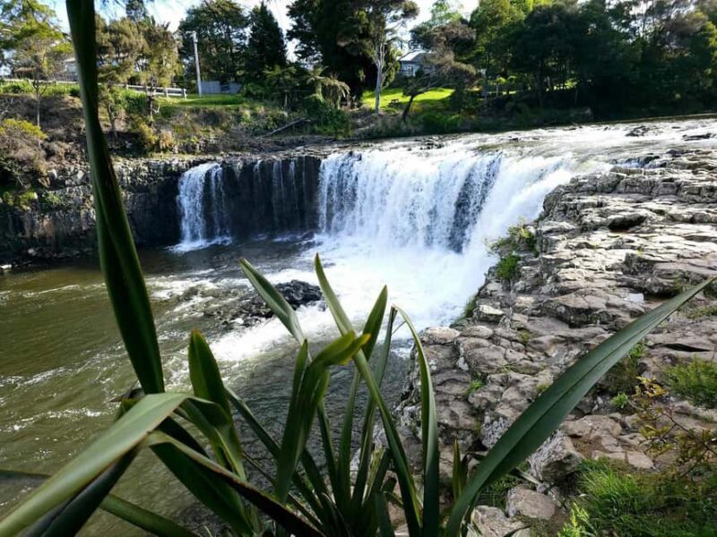 *Popular Tour* - Bay of Islands: Nature Adventure Tour - Who Should Consider This Tour?