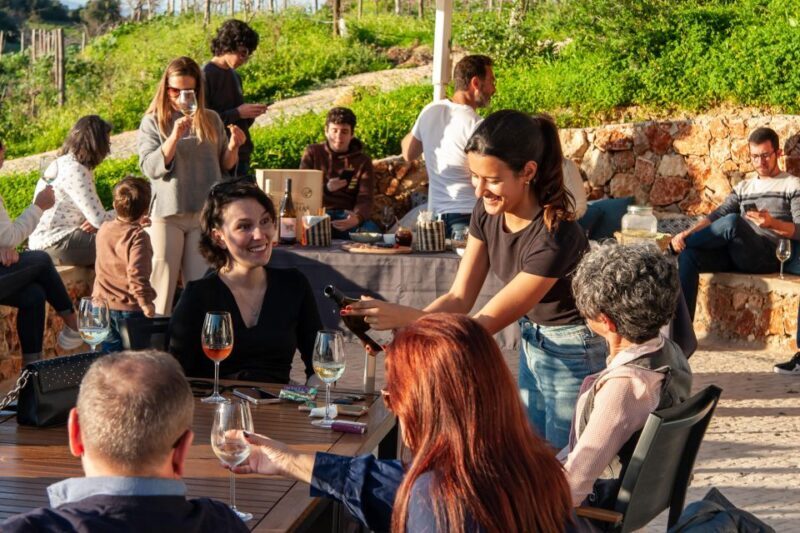Porches: Algarve Vineyard Tour and Wine Tasting Experience - Who Should Consider This Tour?