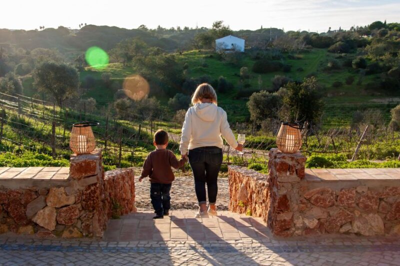 Porches: Algarve Vineyard Tour and Wine Tasting Experience - Frequently Asked Questions