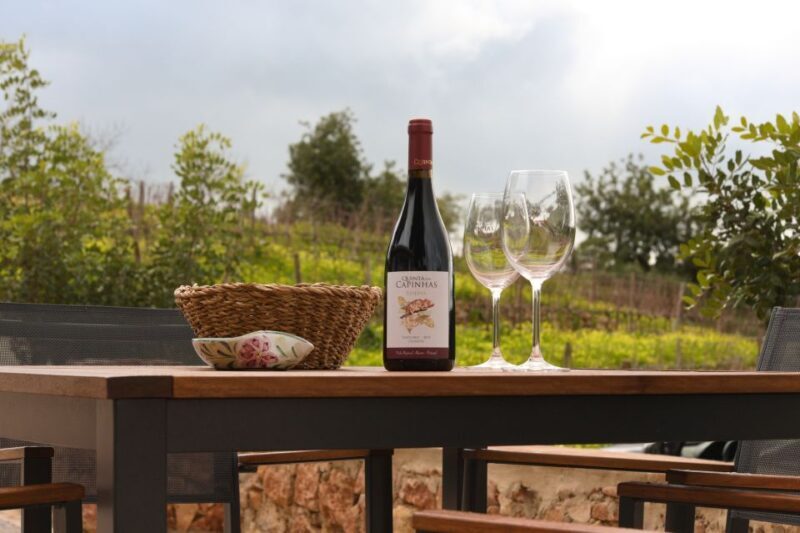 Porches: Algarve Vineyard Tour and Wine Tasting Experience - Final Thoughts