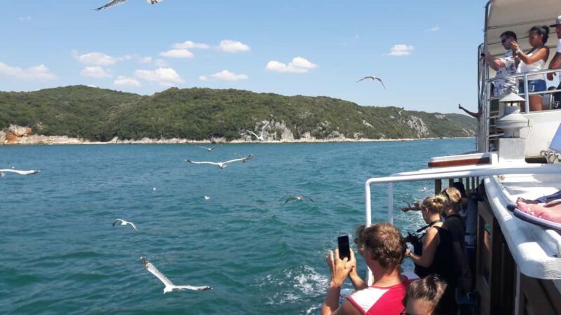 Pore: Boat tour to Rovinj with lunch and drinks - What to Expect From This Boat Tour