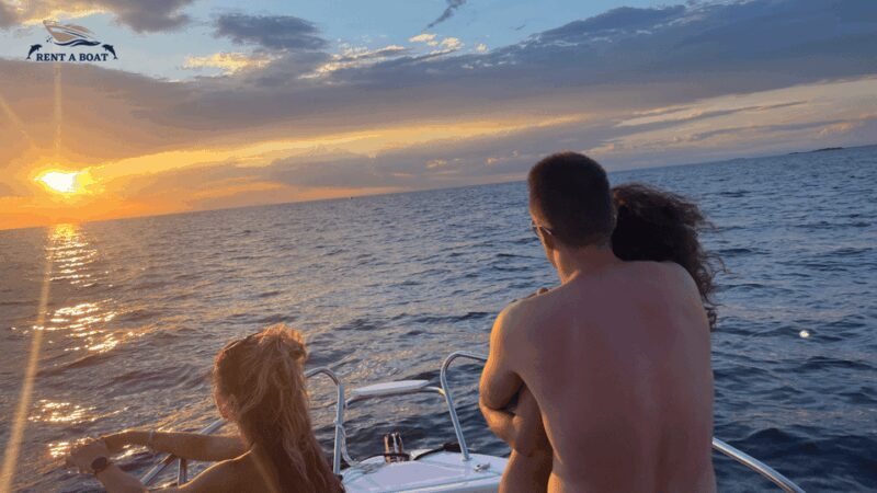 Pore: Private Snorkeling Tour with Dolphin-Watching - What to Expect: A Typical Day