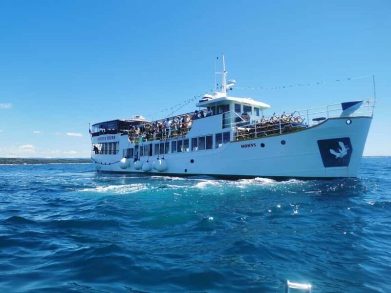 Pore: Sunset Cruise with Dinner and cocktail - What to Expect on the Sunset Dolphin Cruise