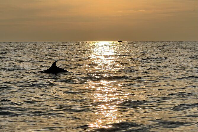 Porec Private Sunset Cruise with Dolphins Sightseeing - The Itinerary and What to Expect