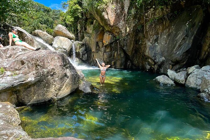 Pork Highway and Rainforest Excursion with transport - An In-Depth Look at the Tour Itinerary