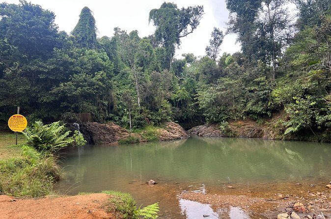 Pork Highway & Cayey Cultural & Gastronomical Experience - Authentic Experiences and Common Complaints