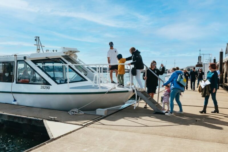 Port Adelaide: Dolphin and Ships Graveyard Cruise - Port Adelaide: Dolphin and Ships Graveyard Cruise — A Detailed Review