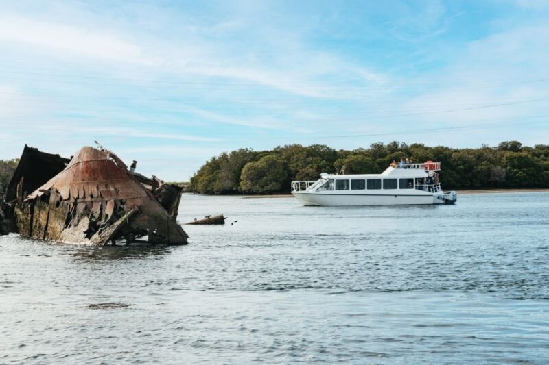 Port Adelaide: Dolphin and Ships Graveyard Cruise - A Close Look at the Experience