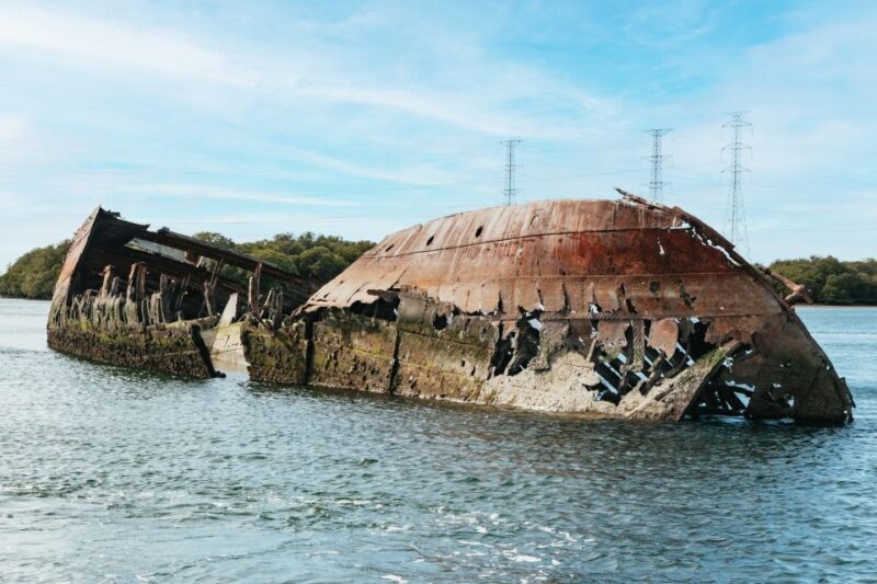Port Adelaide: Dolphin and Ships Graveyard Cruise - Final Words