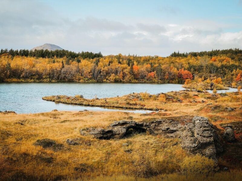 Port Akureyri: Godafoss Waterfall, Myvatn and Baths Tour - Concluding Thoughts: Who Should Book This Tour?