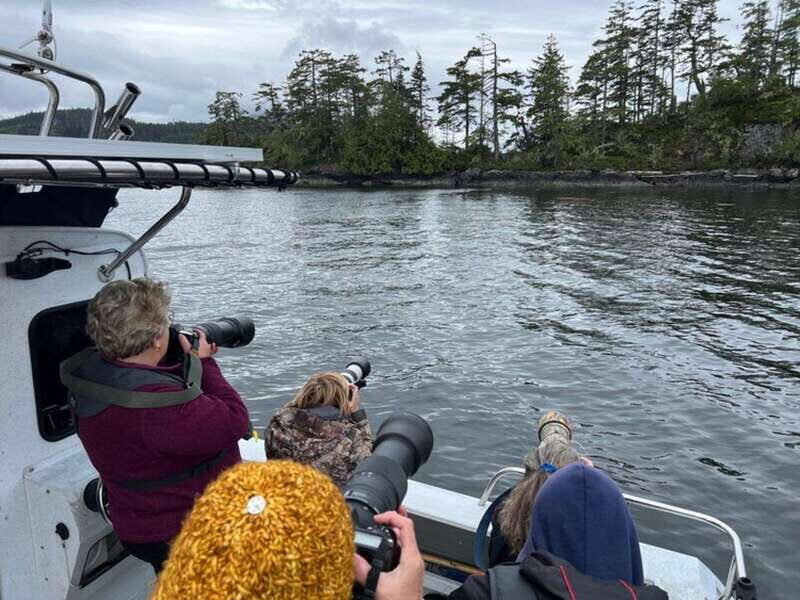 Port Alice: Sea Otter and Wildlife Watching Boat Tour - Detailed Review of the Tour