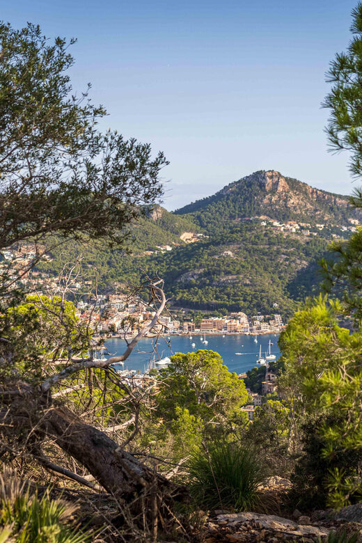 Port Andratx: Hiking Tour into the sunset to Sant Elm - The Practical Details: What You Need to Know