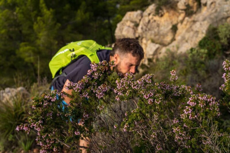 Port Andratx: Hiking Tour into the sunset to Sant Elm - Who Should Consider This Tour?