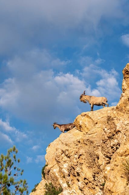 Port Andratx: Hiking Tour into the sunset to Sant Elm - Final Thoughts: Is It Worth It?