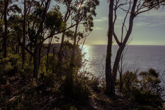Port Arthur, Richmond and Tassie Devils Active Tour from Hobart - Who Should Consider This Tour?