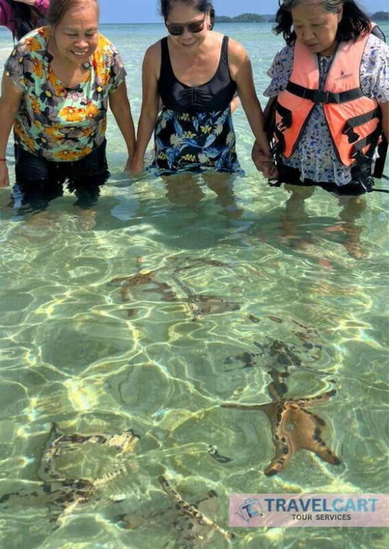 Port Barton Day Tour - How the Tour Works: Logistics and Practicalities