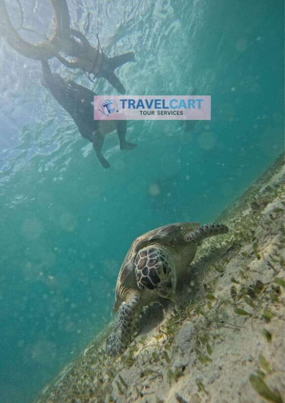 Port Barton Day Tour - Authentic Experiences and Authenticity