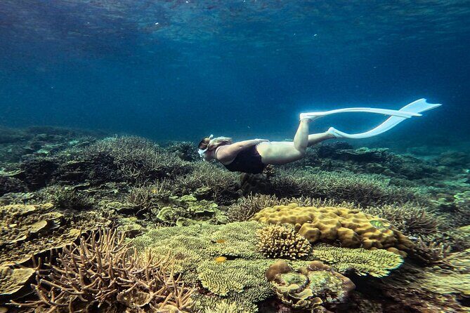 Port Barton Full Day Island Hopping with Buffet Lunch - Discovering Port Barton: An Authentic Island-Hopping Experience