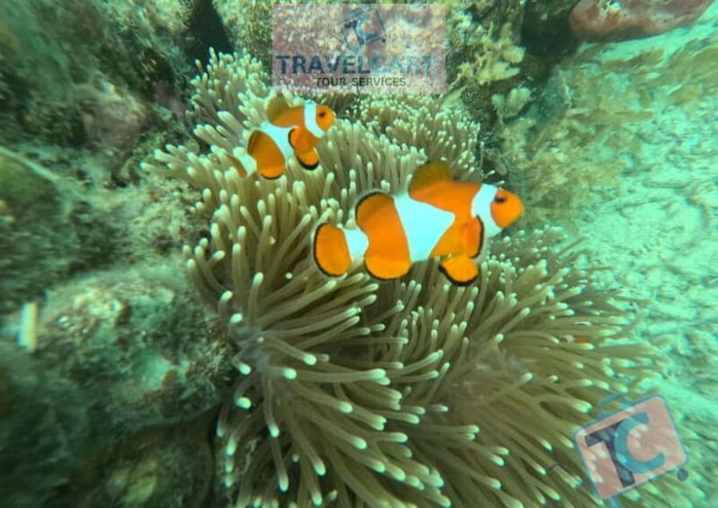 PORT BARTON: Full-day Shared Island Hopping Tour A - Key Points