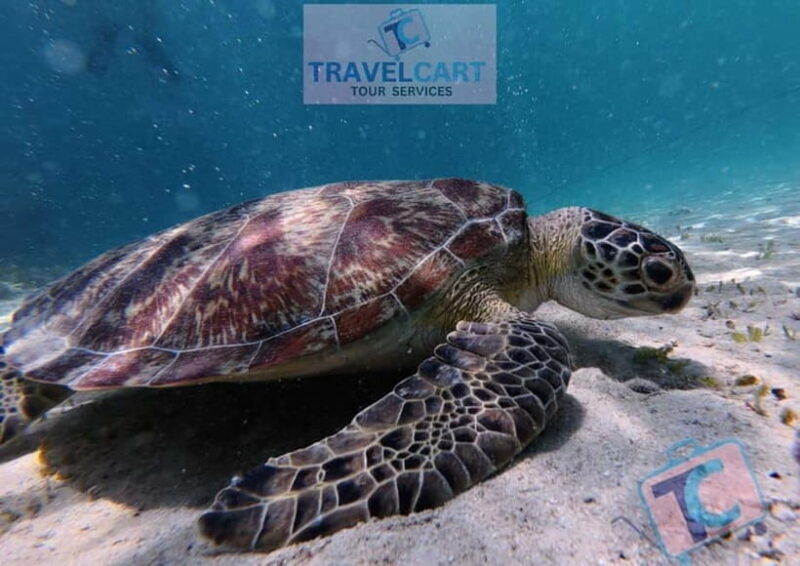 PORT BARTON: Full-day Shared Island Hopping Tour A - A Deep Dive into the Experience