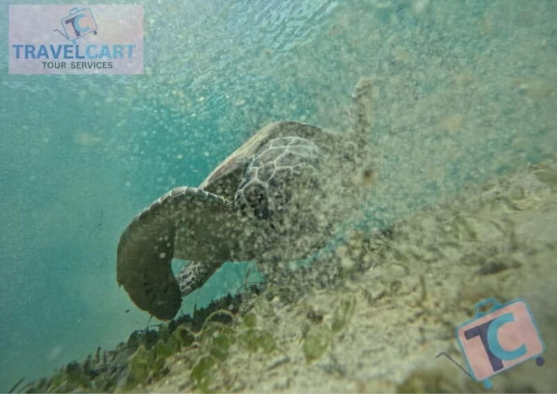 PORT BARTON: Full-day Shared Island Hopping Tour A - FAQs