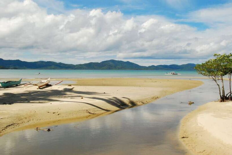 Port Barton: Island Hopping to Turtle Spot & Reef with Lunch - FAQ