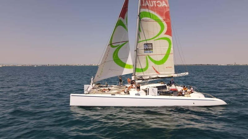 Port Camargue: Half-Day Sailing Tour on a Racing Catamaran - Key Points