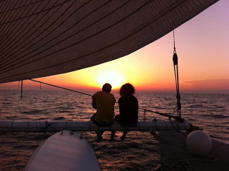 Port Camargue: Half-Day Sailing Tour on a Racing Catamaran - An In-Depth Look at the Port Camargue Sailing Tour