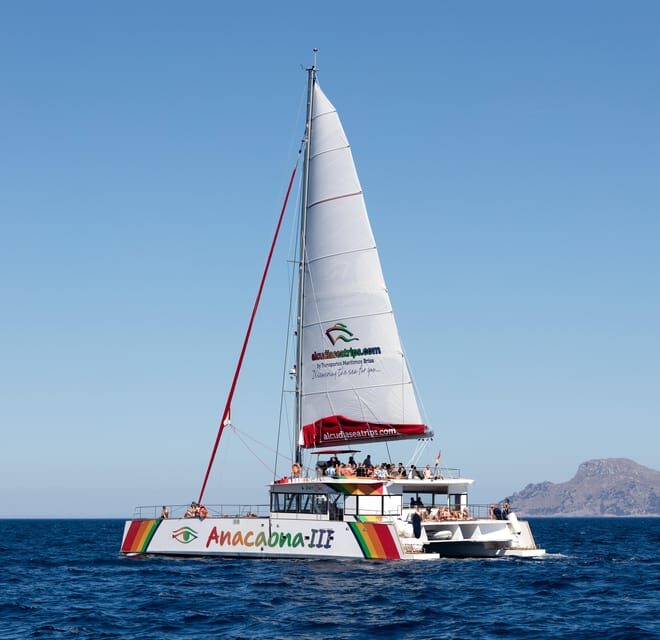 Port d'Alcudia: North Coast Catamaran Cruise with Meal - Food Quality and Dining Experience