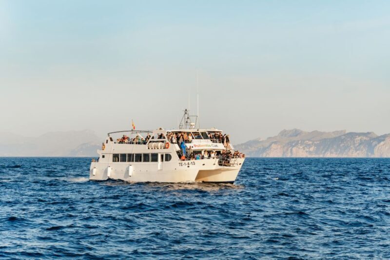 Port d'Alcudia: Sunrise at Sea & Dolphin Watching Boat Tour - FAQs