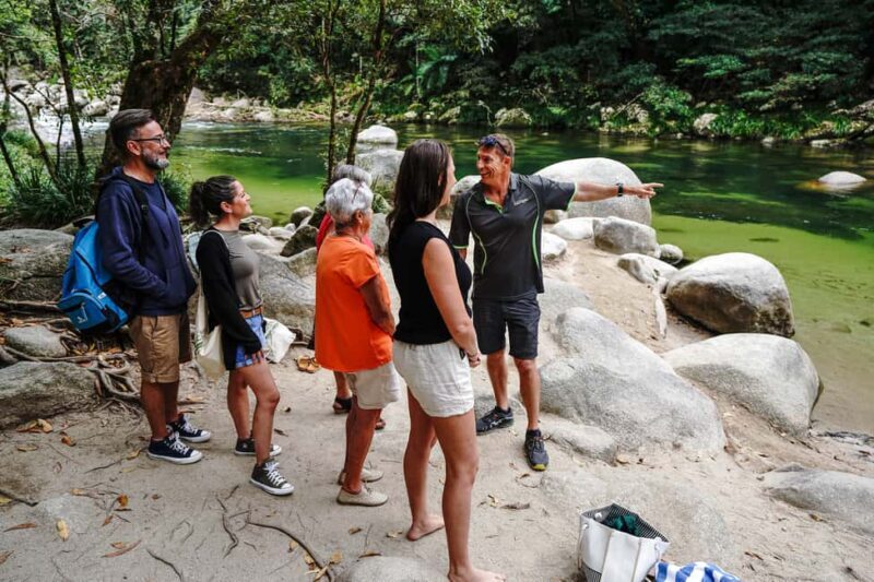 Port Douglas: Best of Daintree Rainforest Day Tour - Experience the Best of Daintree Rainforest in a Day