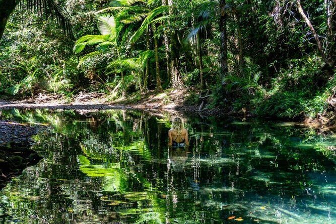 Port Douglas Daintree National Park Boutique Full-Day Tour - An In-Depth Look at the Experience