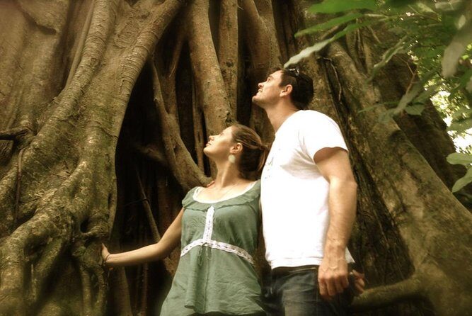 Port Douglas Daintree National Park Boutique Full-Day Tour - Final Thoughts