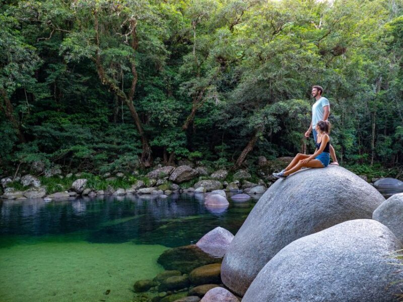 Port Douglas: Daintree Rainforest and Cape Tribulation Tour - An In-Depth Look at the Daintree Rainforest and Cape Tribulation Tour