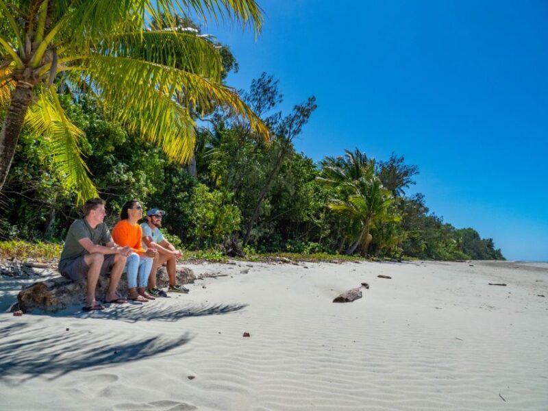 Port Douglas: Daintree Rainforest and Cape Tribulation Tour - In The Sum Up