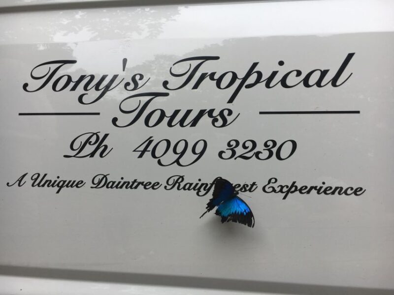Port Douglas: Daintree Rainforest and Mossman Gorge Tour - Why This Tour Is a Smart Choice