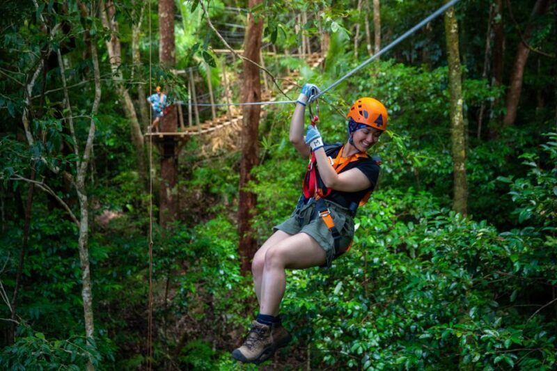 Port Douglas: Daintree Rainforest Canopy Ziplining Tour - A Deep Dive into the Daintree Rainforest Canopy Ziplining Experience